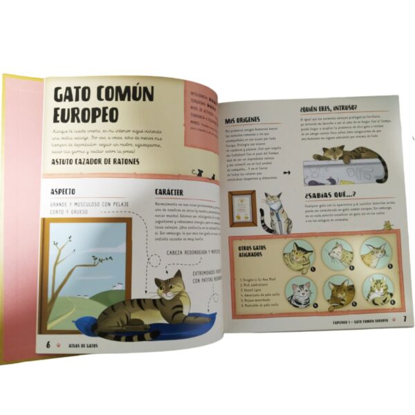 Atlas De Gatos Ilustrado Atlas De Gatos Ilustrado