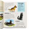 Atlas De Perros Ilustrado Atlas De Perros Ilustrado