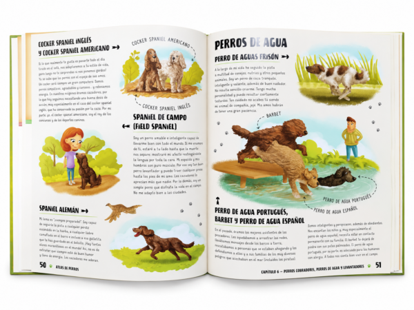 Atlas De Perros Ilustrado Atlas De Perros Ilustrado